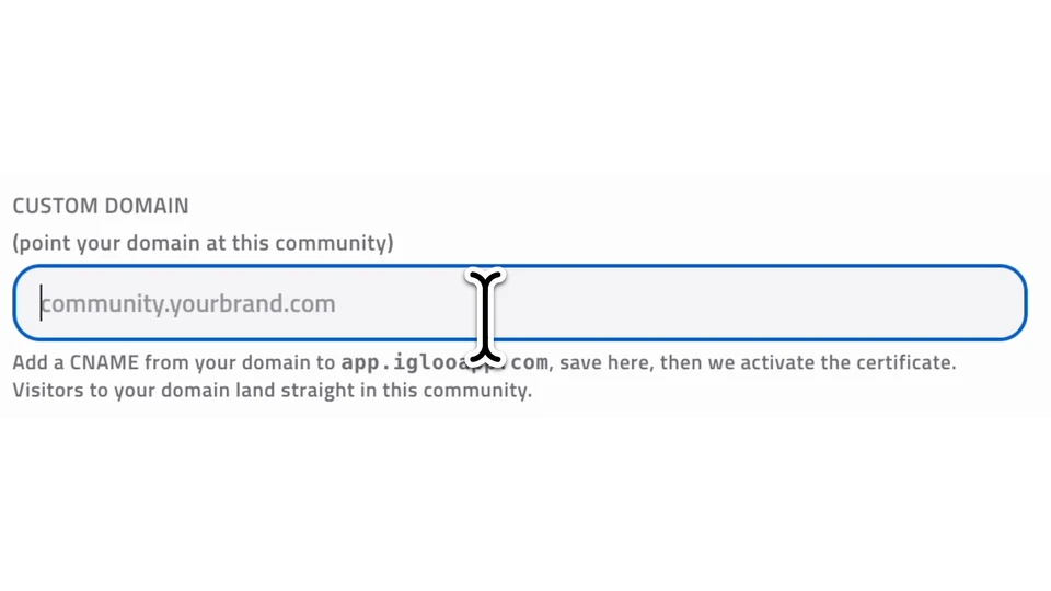 Actual Custom Domain field and CNAME setup instructions