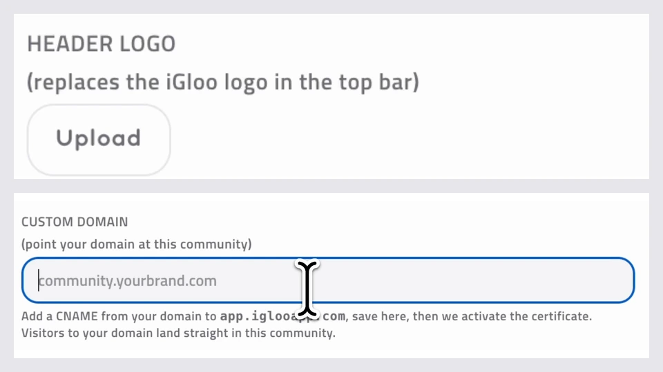 Actual Header Logo upload control and Custom Domain configuration instructions